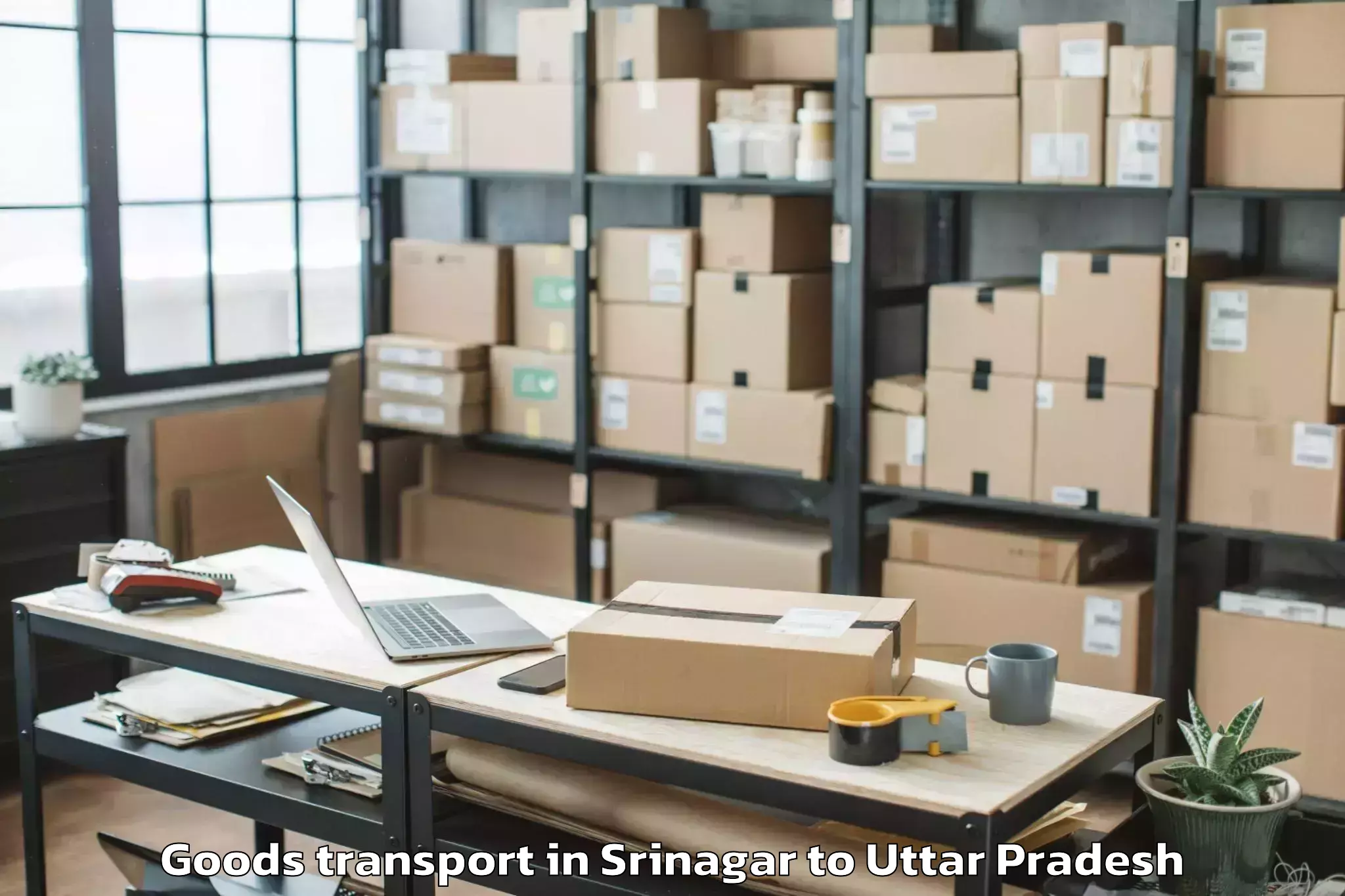 Expert Srinagar to Firozabad Goods Transport